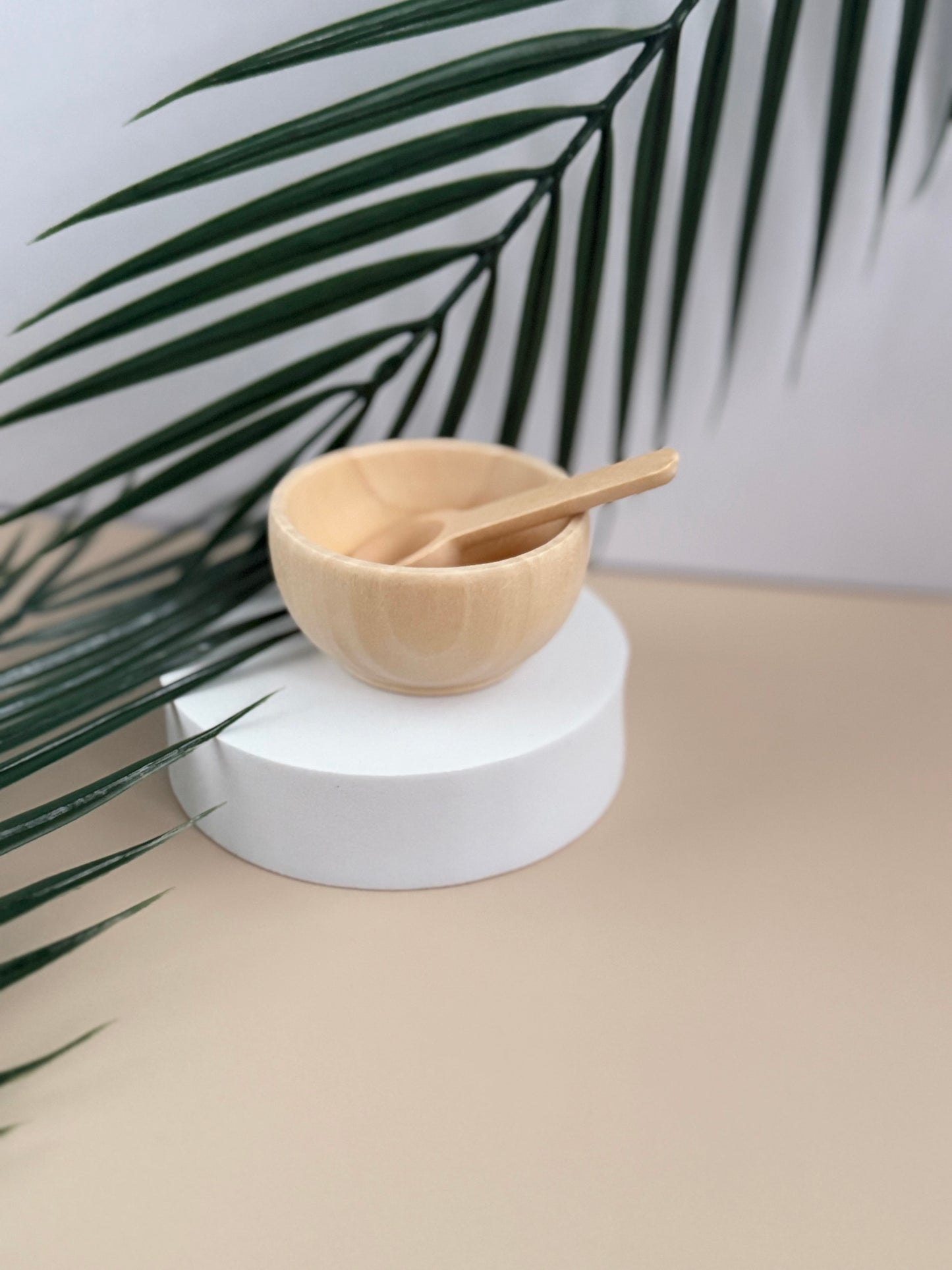 Wooden Mini Bowl & Spoon Set