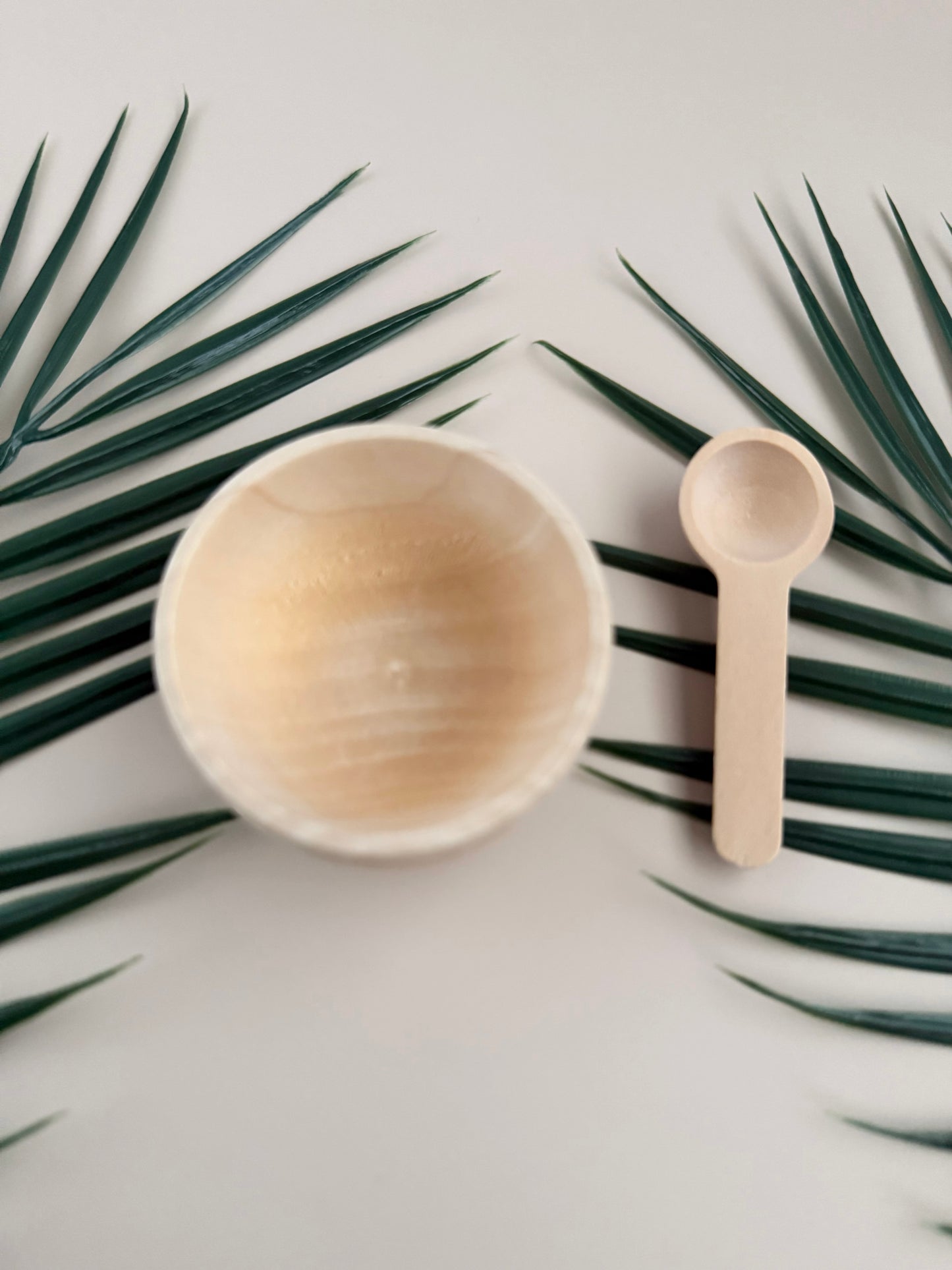 Wooden Mini Bowl & Spoon Set