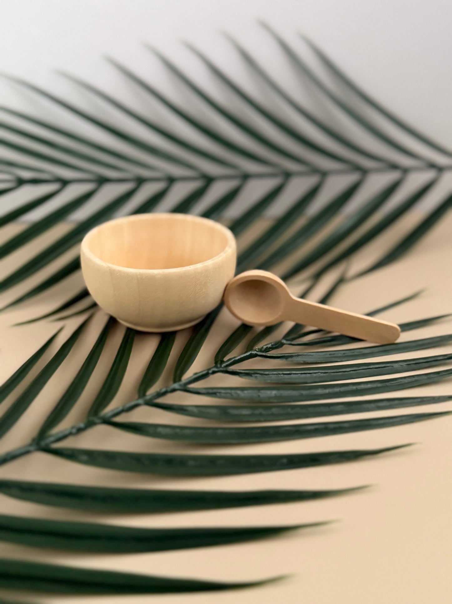 Wooden Mini Bowl & Spoon Set